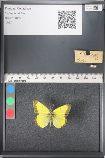 Media type: image;   Entomology 123972